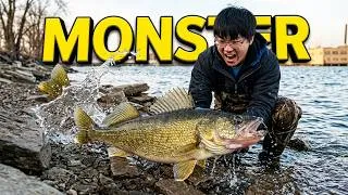 Thumbnail: Catching 25+ Inch MONSTER! | Fishing From Shore