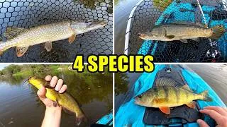 Thumbnail: Kayak Fishing for HUNGRY! Pike