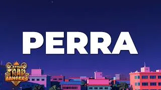 Thumbnail: LIL NAAY - PERRA (Letra/Lyrics)