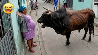 Thumbnail: TRY NOT TO LAUGH 😂 Top 100 Funniest Videos Ever | Memes Epic Fails & Pranks Compilation 2026