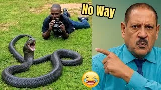 Thumbnail: You Laugh, You Lose | Funniest Videos You’ll See Today | Try Not To Laugh