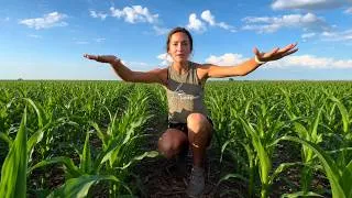 Thumbnail: You Can’t Eat 99% Of U.S. Corn