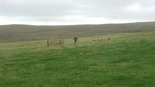Thumbnail: Zorg at Carnwath 5th place (13/08/23)