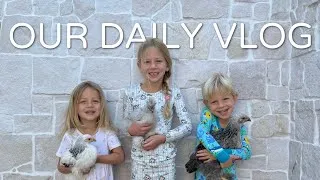 Thumbnail: DAY IN THE LIFE | ARE WE BECOMING A HOMESTEADING FAMILY?!