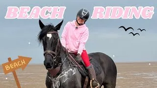 Thumbnail:     Galloping Away The Winter Blues | First Beach Ride In 2 Years 