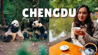 Thumbnail: 3 Days in Chengdu, China 🇨🇳 The Perfect Travel Itinerary