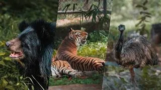 Thumbnail: From Temples to Coastlines | Chennai Travel Film | Lavishly Lost