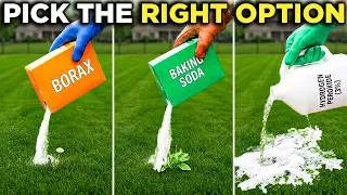 Thumbnail: Borax vs Baking Soda vs Hydrogen Peroxide - A 45-Year Lawncare Keeper's Verdict