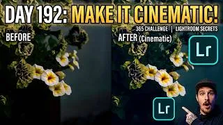 Thumbnail: Day#192 Cinematic Photo Editing in Lightroom | 365 Challenge