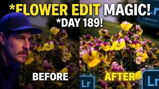 Thumbnail: Photography Challenge Day 189 || Beautiful Flower Editing in Lightroom