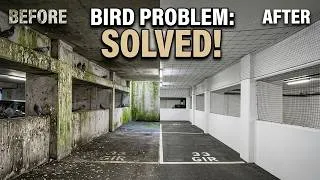 Thumbnail: How we solved a serious bird problem in this car park