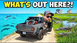 Thumbnail: WE Explored Floridas MOST Underrated Coastline! | So MUCH Wildlife!