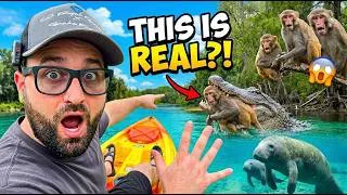 Thumbnail: WE Caught An Alligator EATING A MONKEY at Silver Springs! | This is INSANE!