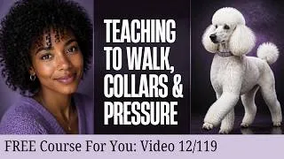 Thumbnail: Stop Leash Pulling: Real Dogs, Real Training, Real Results