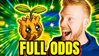 Thumbnail: FULL ODDS Shiny SUNKERN in Pokémon Emerald! | Safari Week