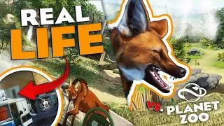 Thumbnail: 🐺 Building a Maned Wolf Habitat in Planet Zoo, But I Need To Follow AZA Guidelines