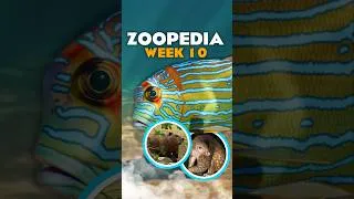 Thumbnail: 🐜 8 More Species Dropped! | Zoopedia Drop #10 | #planetzoo2 #planetzoo