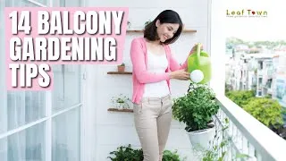 Thumbnail: 14 Balcony Gardening Tips to Follow Before Setting up a Balcony Garden｜Leaf Town