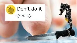 Thumbnail: I Bought Seahorses so you don't have to (seriously)