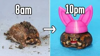 Thumbnail: How I keep my Fat Frogs alive (it's very hard)