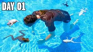 Thumbnail: I Built a Pond, and Let it Evolve For 2 Years