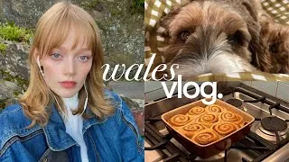 Thumbnail: october in the welsh countryside | rainy days at home, new routines, life updates . ݁₊ ⊹ . ݁˖ . ݁