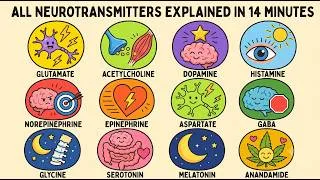 Thumbnail: All Neurotransmitters Explained in 14 Minutes
