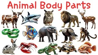 Thumbnail: Animal Body Parts for kids🐘🦁 | Learn with Videos and Simple Sentences