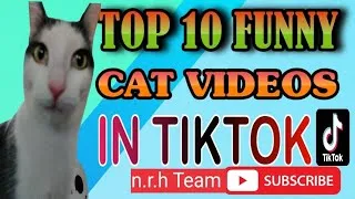 Thumbnail: TOP 10 FUNNY 😂 CAT🐈 VIDEOS IN TIKTOK 😂 | FUNNY CAT 🐈| BAGAD BELA | SUBSCRIBE FOR MORE | HAPPY |