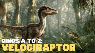 Thumbnail: Dinos A to Z: Velociraptor | Learn fun facts about this popular dinosaur!