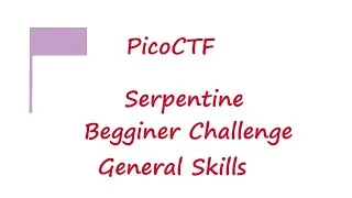 Thumbnail: PicoCTF 2022 - Serpentine | picoMini General Skills Challenges