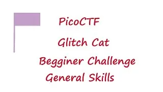 Thumbnail: PicoCTF 2022 - Glitch Cat | picoMini General Skills Challenges