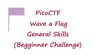 Thumbnail: PicoCTF - Wave a Flag | General Skills | Beginner Challenge