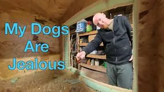 Thumbnail: Building a Cat Resort in My Barn: Three Tiers of Fun!
