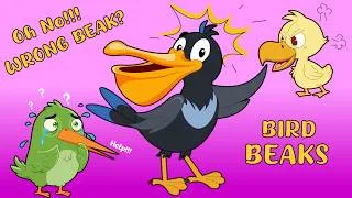 Thumbnail: Types of Beaks & What They Do? - How Bird Beaks Work! - Amazing Adaptations in Birds