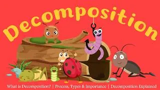 Thumbnail: What is Decomposition? | Process, Types & Importance | Decomposition Explained | Learning Junction