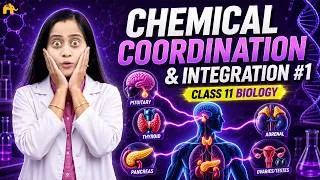 Thumbnail: Chemical Coordination & Integration Class 11 One shot | NCERT Ch | Endocrine System Explained- 2027