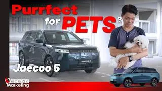 Thumbnail: Jaecoo 5 EV – The “Lesser” Jaecoo 6 ?  | Learns Car Series