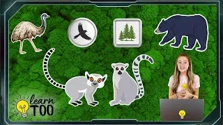 Thumbnail: Lemurs, Emus, and Bears at the Zoo! 🐻 ☀️ Zoo Animals for Kids