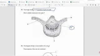 Thumbnail: Cambridge O level biology 0610 Paper 23 MCQs  MayJune 2022 solved