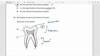 Thumbnail: Cambridge IGCSE Biology 0610 paper 11 MCQs February March 2022  solved - Learnwithmisssehrish