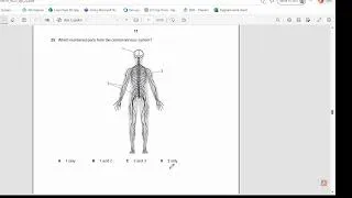 Thumbnail: Cambridge IGCSE Biology 0610 paper 22 MCQs February March 2022  solved