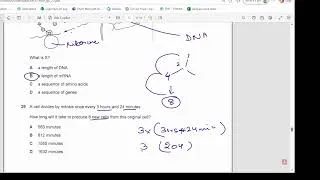 Thumbnail: Cambridge IGCSE Biology 0610 paper 22 MCQs February March 2026 Q21 40 solved part 2
