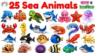 Thumbnail:  Learn Sea Animals Name in English |২৫টি সামুদ্রিক প্রাণীর নাম | Ocean Animals for Kids | Sea Animal