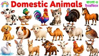 Thumbnail: Domestic Animals Names in English & Bangla | গৃহপালিত পশু পাখির নাম | Domestic Animals for Kids