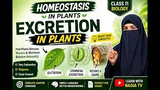 Thumbnail: Excretion in Plants | Homeostasis | Class 11 Biology | Easy Explanation + Diagrams