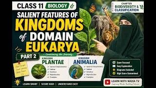 Thumbnail: Kingdom Plantae & Animalia | Salient Features of Domain Eukarya | Class 11 Biology-Lecture 3/Part 2