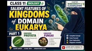 Thumbnail: Salient Features of Kingdom Protista & Fungi | Domain Eukarya Part 1 | Class 11 Biology