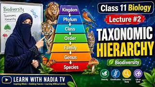 Thumbnail: Taxonomic Hierarchy in Biology | Class 11 Biology Lecture 2 | Biodiversity Made Easy