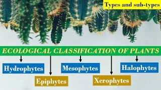 Thumbnail: Ecological Classification of Plants | ecological grouping | ugc net topic | hydrophytes | Mesophytes